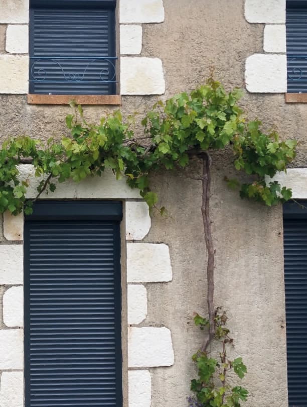 Volet roulant clotair